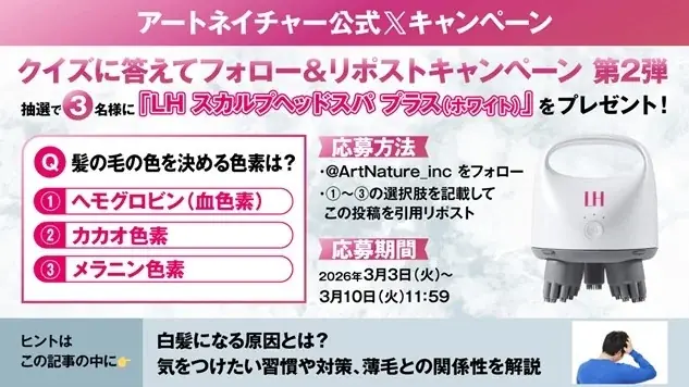 LHスカルプヘッドスパ賞