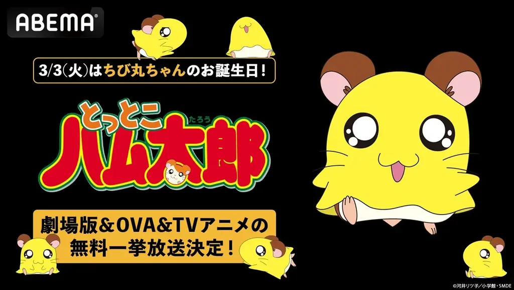 ちび丸ちゃん誕生日放送