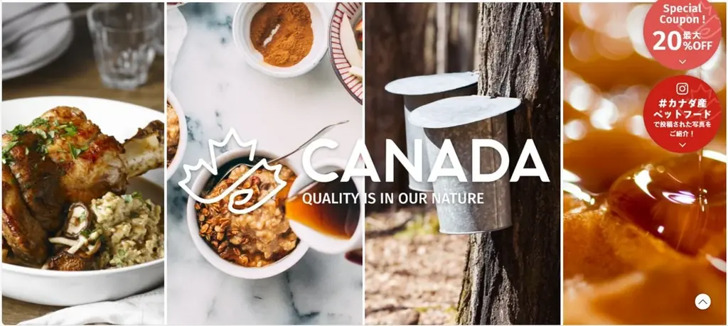 【イベントレポート】カナダ産食材が拓く、アフタヌーンティーの新たな可能性 画像 6