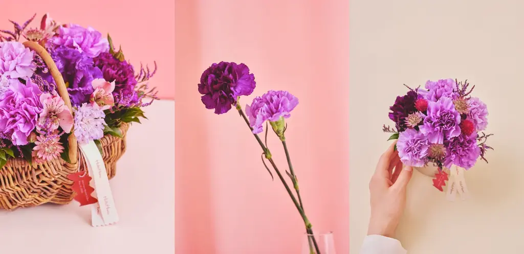 【HitoHana(ひとはな)】母の日ギフト2026予約受付開始！溢れんばかりのたっぷりのお花を贈る – カーネーションギフト、胡蝶蘭、産直、観葉植物、人気ブランドとのセットギフトも 画像 10