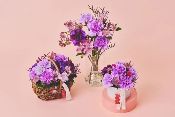 【HitoHana(ひとはな)】母の日ギフト2026予約受付開始！溢れんばかりのたっぷりのお花を贈る – カーネーションギフト、胡蝶蘭、産直、観葉植物、人気ブランドとのセットギフトも 画像 11
