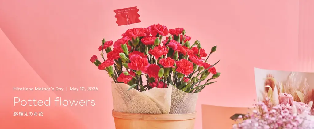 【HitoHana(ひとはな)】母の日ギフト2026予約受付開始！溢れんばかりのたっぷりのお花を贈る – カーネーションギフト、胡蝶蘭、産直、観葉植物、人気ブランドとのセットギフトも 画像 16