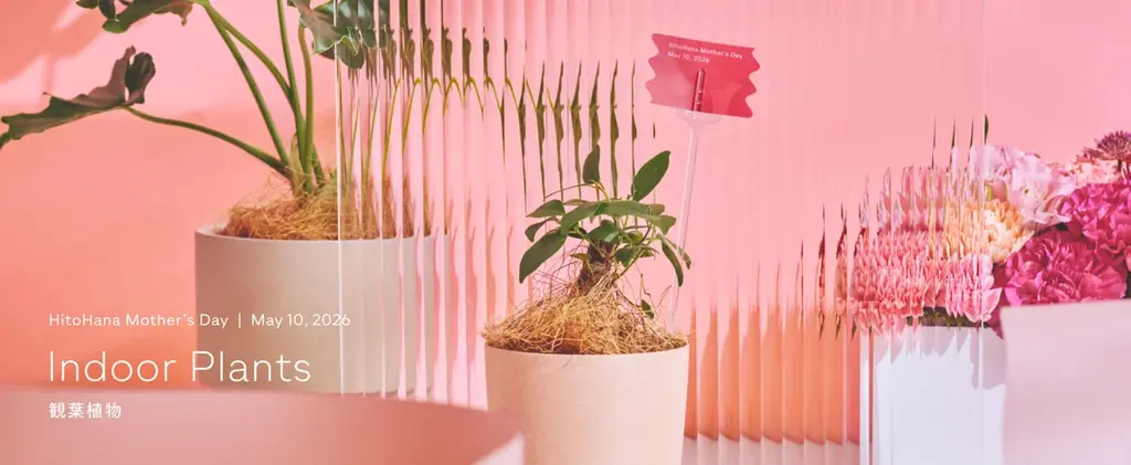 【HitoHana(ひとはな)】母の日ギフト2026予約受付開始！溢れんばかりのたっぷりのお花を贈る – カーネーションギフト、胡蝶蘭、産直、観葉植物、人気ブランドとのセットギフトも 画像 22