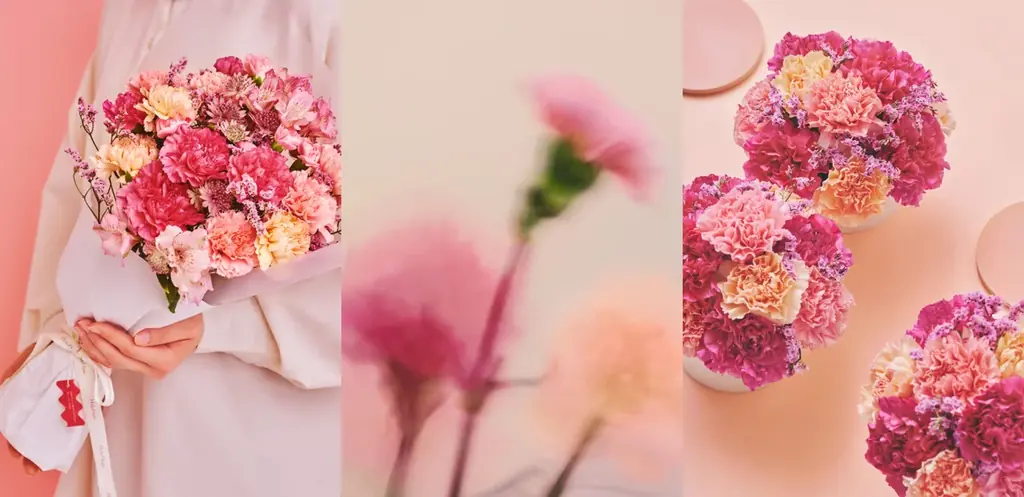 【HitoHana(ひとはな)】母の日ギフト2026予約受付開始！溢れんばかりのたっぷりのお花を贈る – カーネーションギフト、胡蝶蘭、産直、観葉植物、人気ブランドとのセットギフトも 画像 4