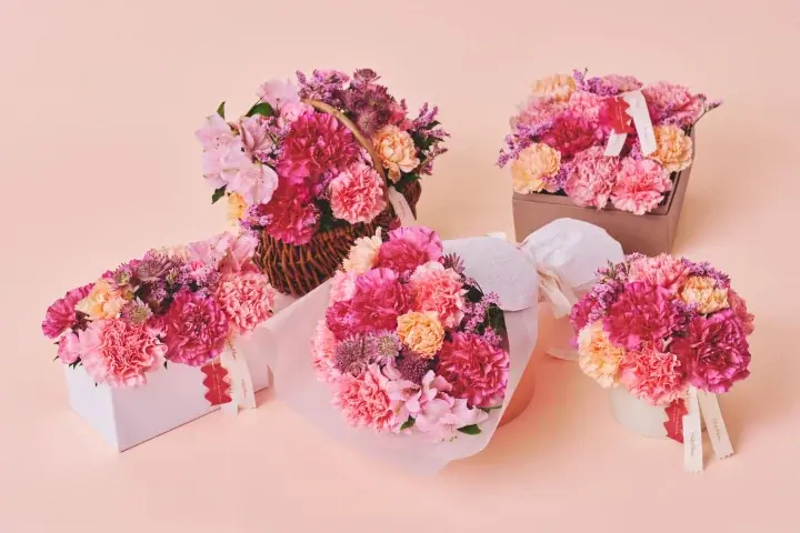 【HitoHana(ひとはな)】母の日ギフト2026予約受付開始！溢れんばかりのたっぷりのお花を贈る – カーネーションギフト、胡蝶蘭、産直、観葉植物、人気ブランドとのセットギフトも 画像 5