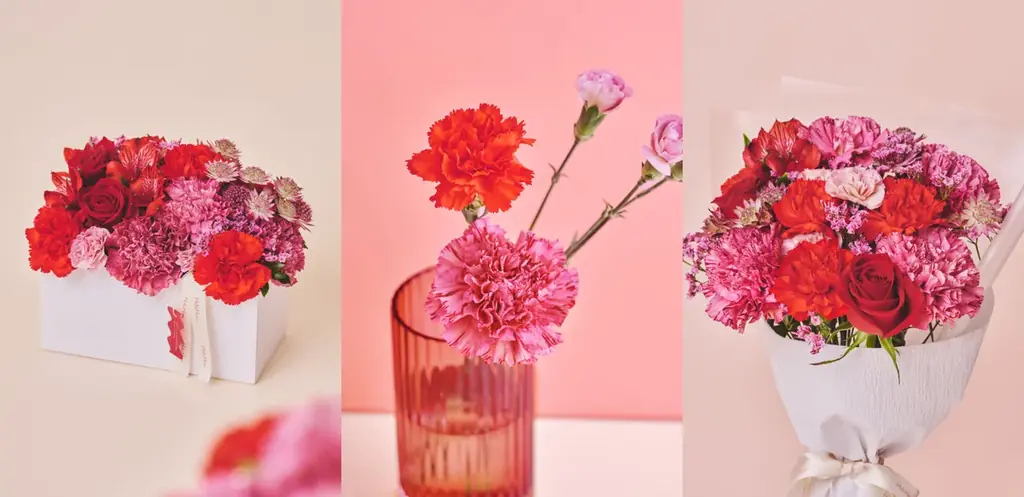 【HitoHana(ひとはな)】母の日ギフト2026予約受付開始！溢れんばかりのたっぷりのお花を贈る – カーネーションギフト、胡蝶蘭、産直、観葉植物、人気ブランドとのセットギフトも 画像 6