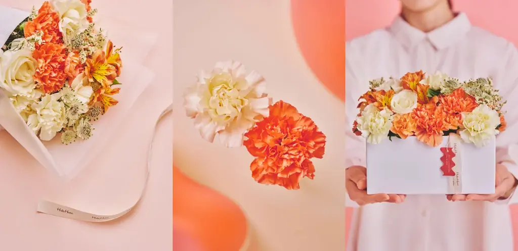 【HitoHana(ひとはな)】母の日ギフト2026予約受付開始！溢れんばかりのたっぷりのお花を贈る – カーネーションギフト、胡蝶蘭、産直、観葉植物、人気ブランドとのセットギフトも 画像 8