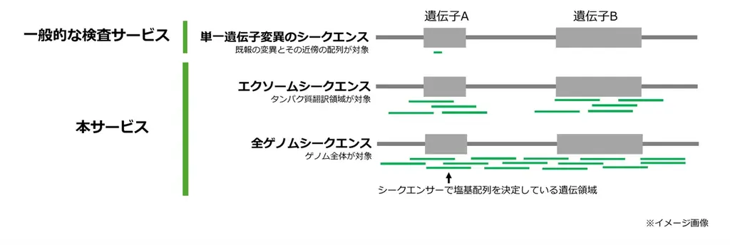アニコム、イヌ・ネコ向けNGS網羅遺伝子検査を提供開始