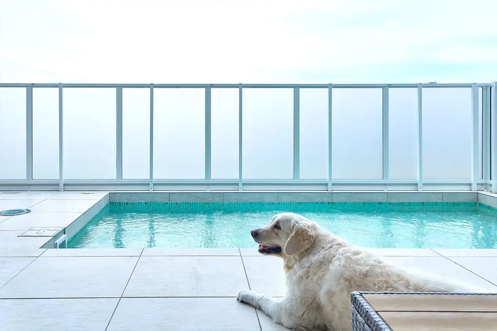 【4月4日限定】“万博級”約10,000発の大規模花火を海辺で満喫。大阪・貝塚市「うみテラス二色の浜」が宿泊・日帰りBBQの特別プランを販売開始 画像 7