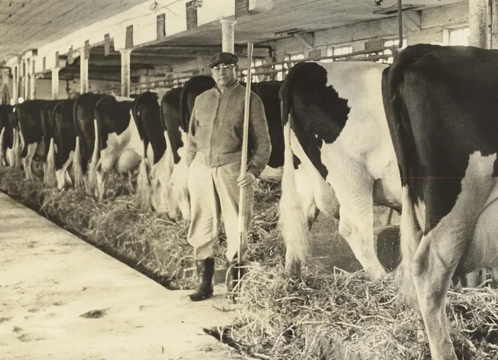 【大丸札幌店】「ブルーポンド」より『ストロベリーキャラメルクリスピー』新発売。北海道余市町産“夏いちご”使用＜北海道発キャラメルミルクスイーツ専門店＞ 画像 6