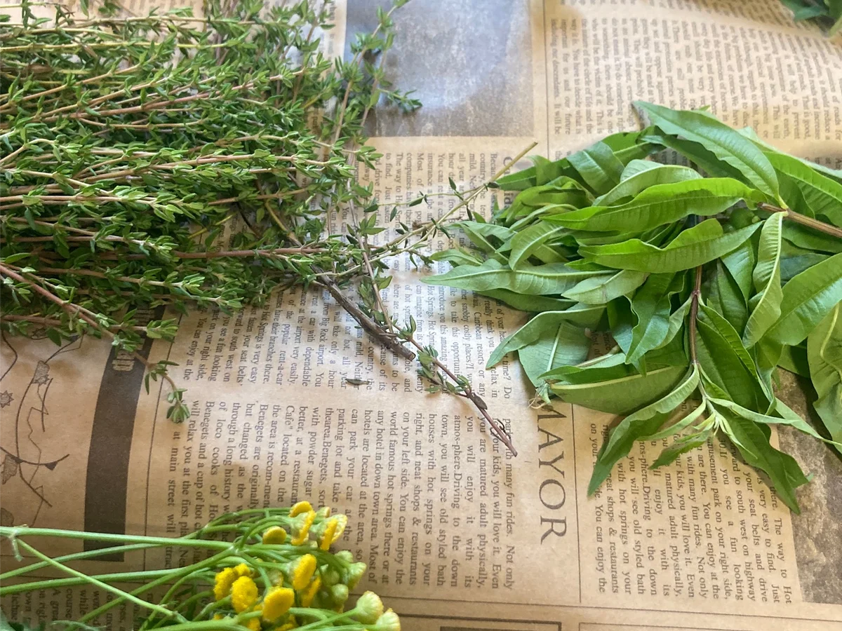 北海道産ハーブで「眠り」を整える。goodsauna & spa SAPPOROが「三島ハーブ園」と五感を癒やすワークショップ開催（3/15・4/26） 画像 2