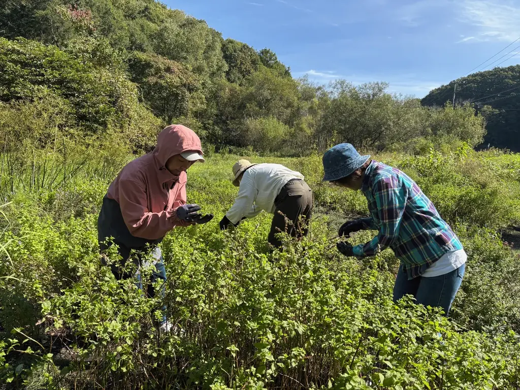 北海道産ハーブで「眠り」を整える。goodsauna & spa SAPPOROが「三島ハーブ園」と五感を癒やすワークショップ開催（3/15・4/26） 画像 3