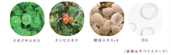 独自開発の複合成分（保湿）配合！メラニンの生成を抑え、シミ・ソバカスを防ぎ、角層をうるおいで満たすブライトニング化粧水と乳液が2026年3月7日（土）新発売 画像 8