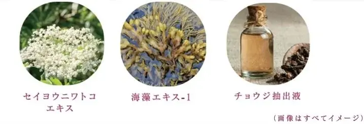 独自開発の複合成分（保湿）配合！メラニンの生成を抑え、シミ・ソバカスを防ぎ、角層をうるおいで満たすブライトニング化粧水と乳液が2026年3月7日（土）新発売 画像 9