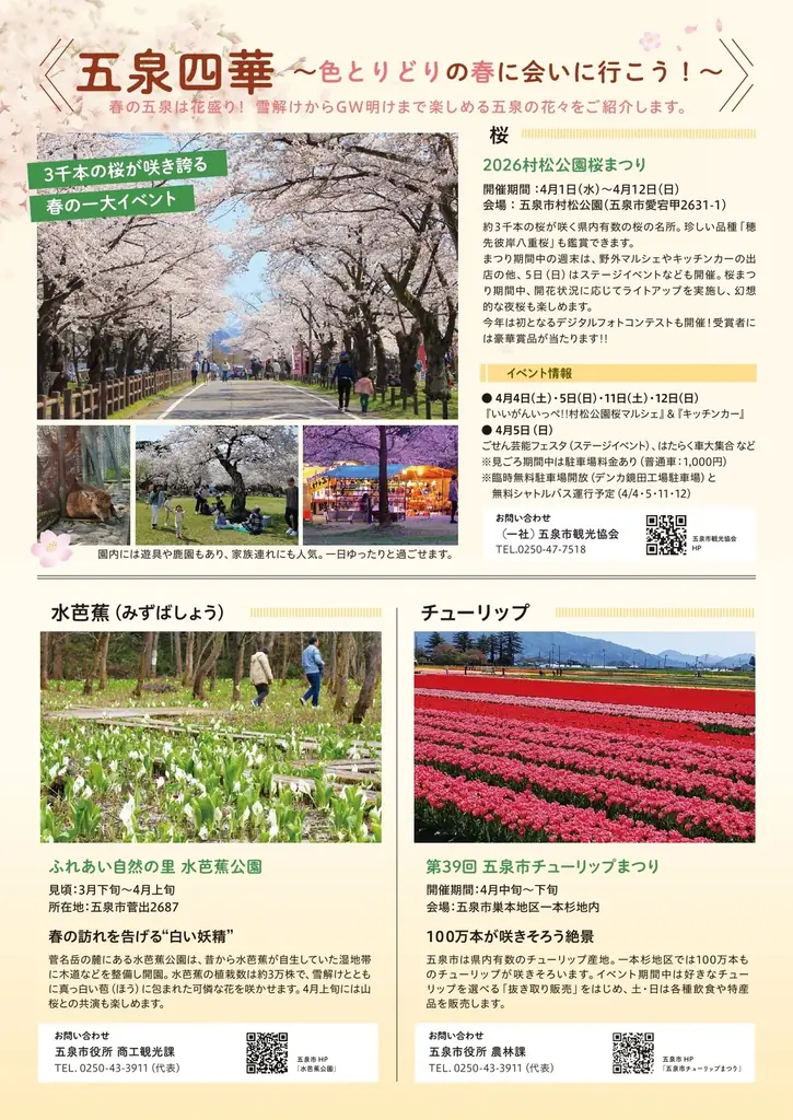 春の五泉は花ざかり。桜・チューリップ・牡丹が彩る「五泉四華」シーズン到来「GO！GO！ごせんNEWS」2026年4・5月号を発行しました 画像 2