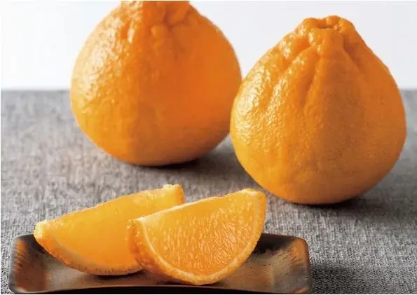 うまかもんが選べるんだモン！くまモンデザインのカード型カタログギフト「選べる熊本県産品　うまかもんギフト」 画像 3