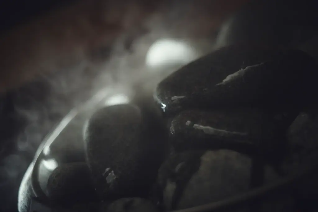 火を囲み、調理を楽しむ宿泊体験を。伊豆高原にセルフオーベルジュ型プライベートヴィラ「Ｈｉｉｒｅ」をオープン 画像 12