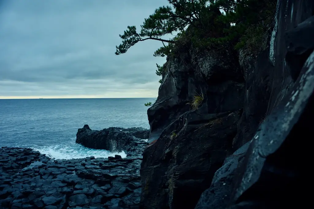 火を囲み、調理を楽しむ宿泊体験を。伊豆高原にセルフオーベルジュ型プライベートヴィラ「Ｈｉｉｒｅ」をオープン 画像 14