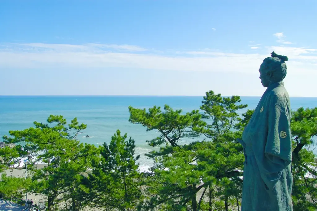 【高知市ふるさと納税】過去最高の寄附額を更新中！その感謝をこめて、スペシャルな返礼品をご用意。 画像 8