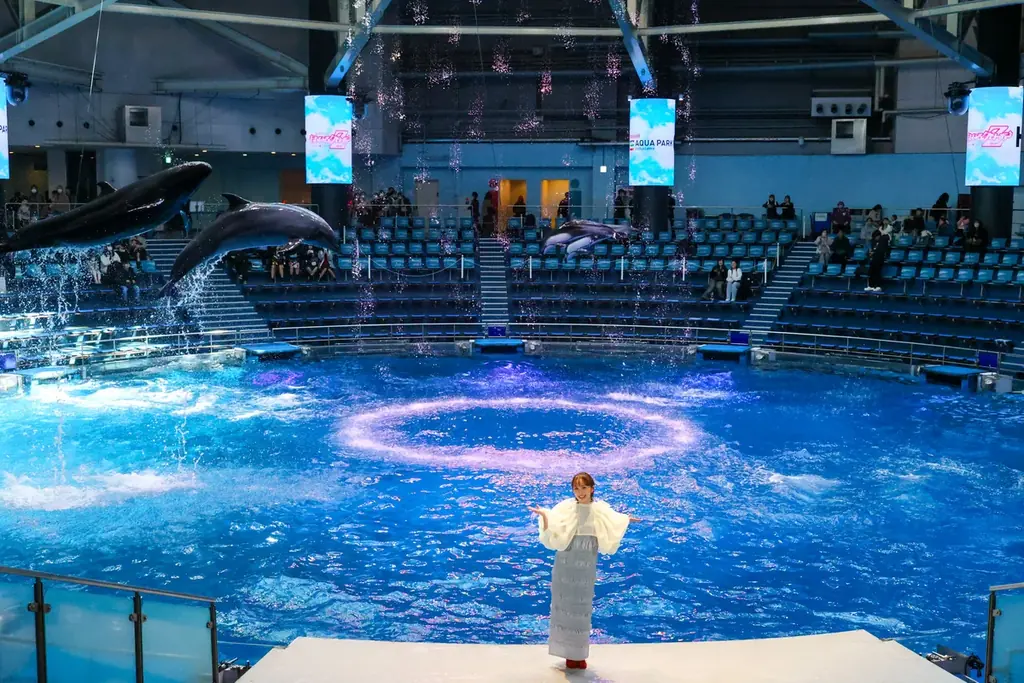マクセル アクアパーク品川×ももクロ、特別ドルフィン演出へ
