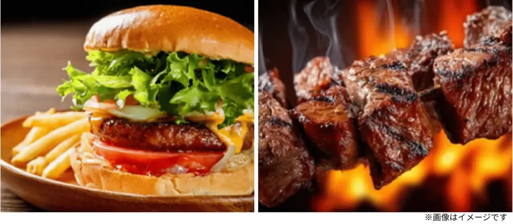 鳥取県最大級の野外音楽フェス誕生！『SHINE UP FES！ 2026』9月開催決定。 画像 3