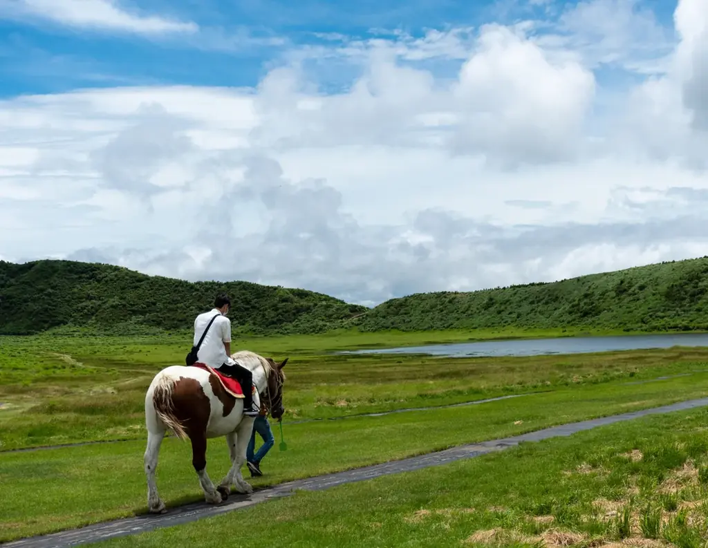 【熊本県初】名建築が大人の隠れ家に。日本ログハウス・オブ・ザ・イヤー受賞、絵画が迎えるログハウスで寛ぎ、遊び、ととのう。ペットと泊まれる一棟貸し「南阿蘇 林画邸 LOG HOUSE」プレオープン 画像 16