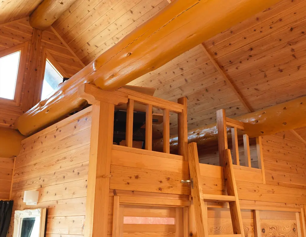 【熊本県初】名建築が大人の隠れ家に。日本ログハウス・オブ・ザ・イヤー受賞、絵画が迎えるログハウスで寛ぎ、遊び、ととのう。ペットと泊まれる一棟貸し「南阿蘇 林画邸 LOG HOUSE」プレオープン 画像 5