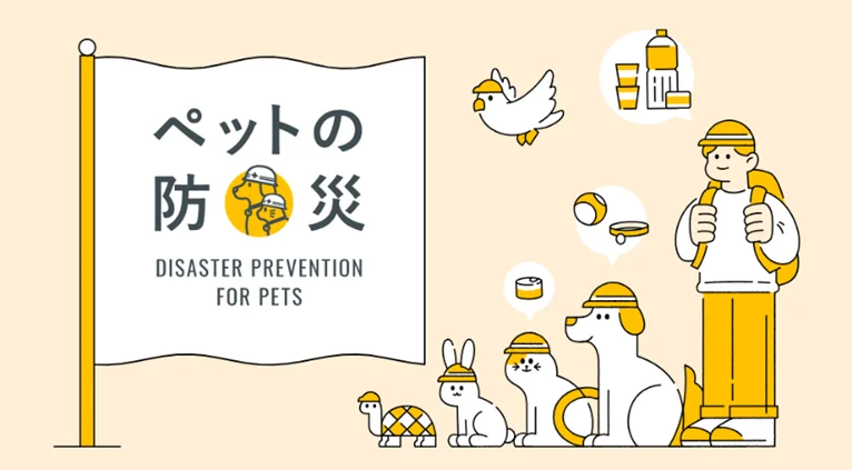 2026年版ペットのための防災対策に関する調査 画像 8