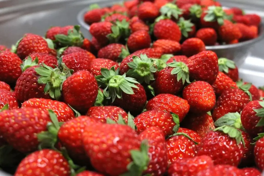 サンクトガーレン、泡まで苺色の甘酸っぱいビール『ホエイサワーエール ストロベリー』3月12日発売。チーズ副産物“ホエイ”をアップサイクル 画像 2