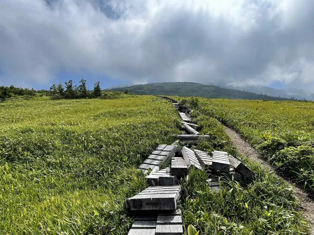 北アルプスの秘境・山之村の冒険を次世代へつなぐ。クラウドファンディングに「純粋応援プラン」と限定リターン「大自然の時間無制限テントサウナ」、「幻の高原鮎・ジビエランチ」追加 画像 2