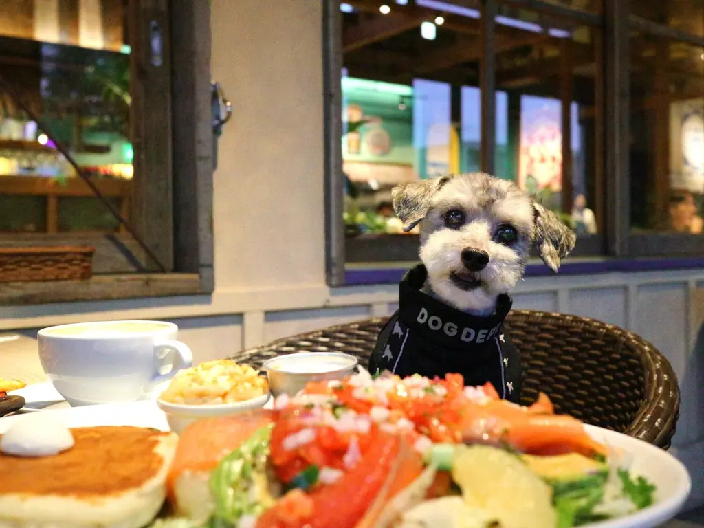 ハワイアン カフェ・レストラン「コナズ珈琲」千葉県5店舗目は、柏市！コナズ珈琲 柏十余二店2026年3月20日（金）9時オープン 画像 2