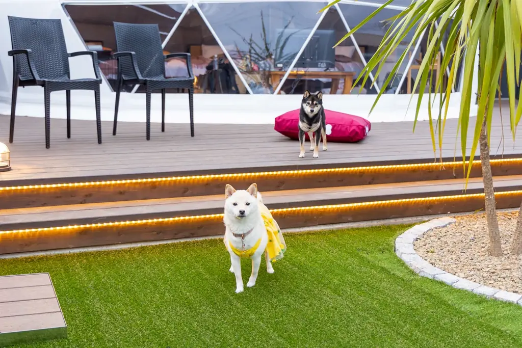 【3周年×新客室】サウナ&グランピング「SISU」が開業3周年。ReFaを完備した最高級「スイートヴィラ」誕生と、3周年を記念した20%OFF謝恩キャンペーンを開催！ 画像 21