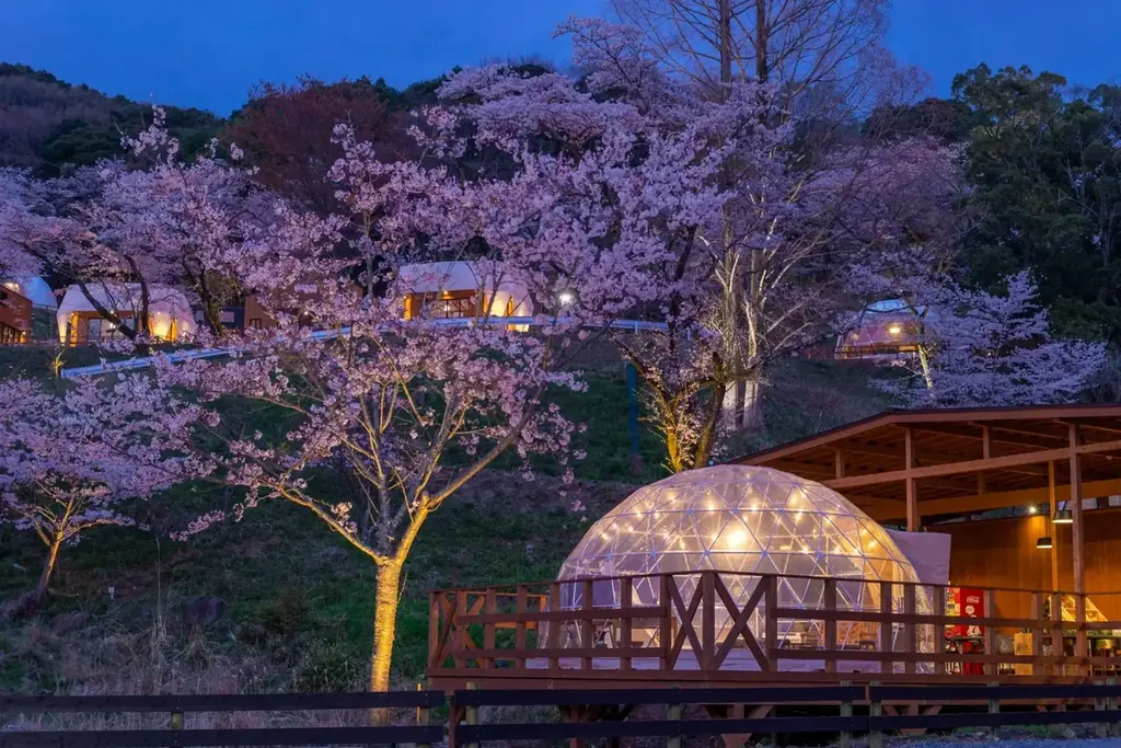 【茨城・土浦アウラテラス茨城】20％OFFセールやお花見グランピングに彩りを添える「練り切りとお茶」の春色セットも新登場！更に待望うの新客室も仲間入り♪盛りだくさんの春をお届け！ 画像 2