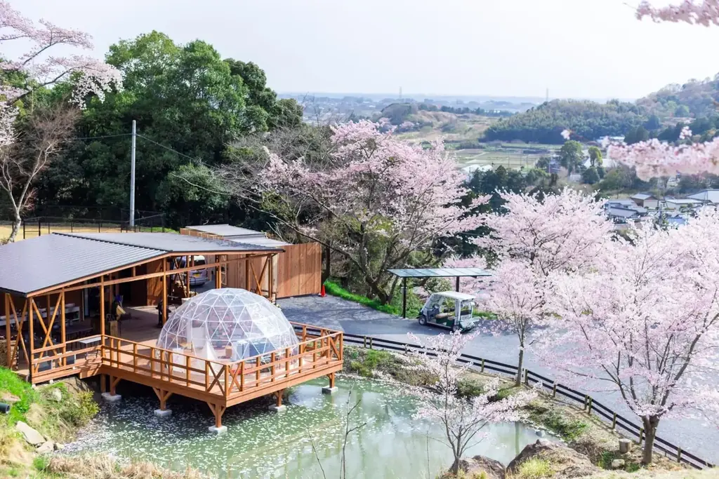 【茨城・土浦アウラテラス茨城】20％OFFセールやお花見グランピングに彩りを添える「練り切りとお茶」の春色セットも新登場！更に待望うの新客室も仲間入り♪盛りだくさんの春をお届け！ 画像 3