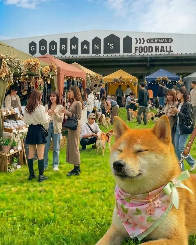 毎回好評の愛犬と楽しむ人気イベント「わたしのワンコマルシェ」3月21日・22日開催【WHATAWON／大阪・岸和田】 画像 10