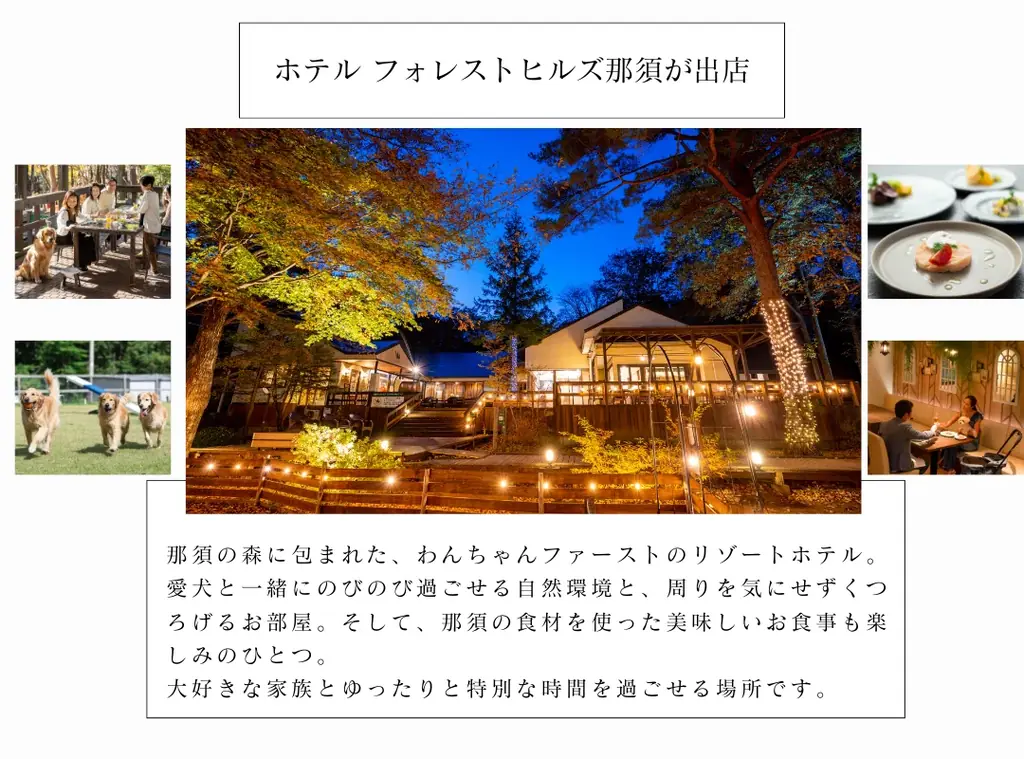 愛犬と行くスポーツ観戦！ビーチバレー大会観戦イベント開催! 画像 10