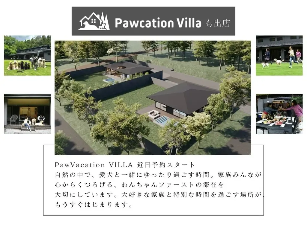 愛犬と行くスポーツ観戦！ビーチバレー大会観戦イベント開催! 画像 9