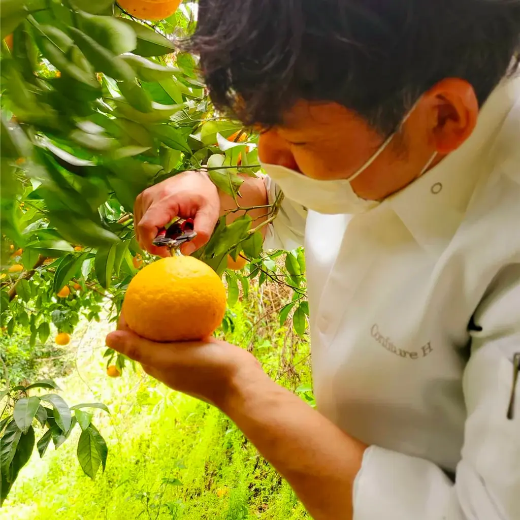 世界大会優勝パティシエが、尾鷲市「平山農園」で有機・無農薬栽培で育てられた甘夏を使用したスイーツを開発！3月18日（水）メディア向け試食会のご案内 画像 2