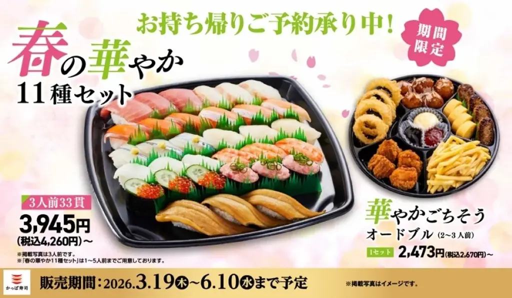 春の華やか11種セット