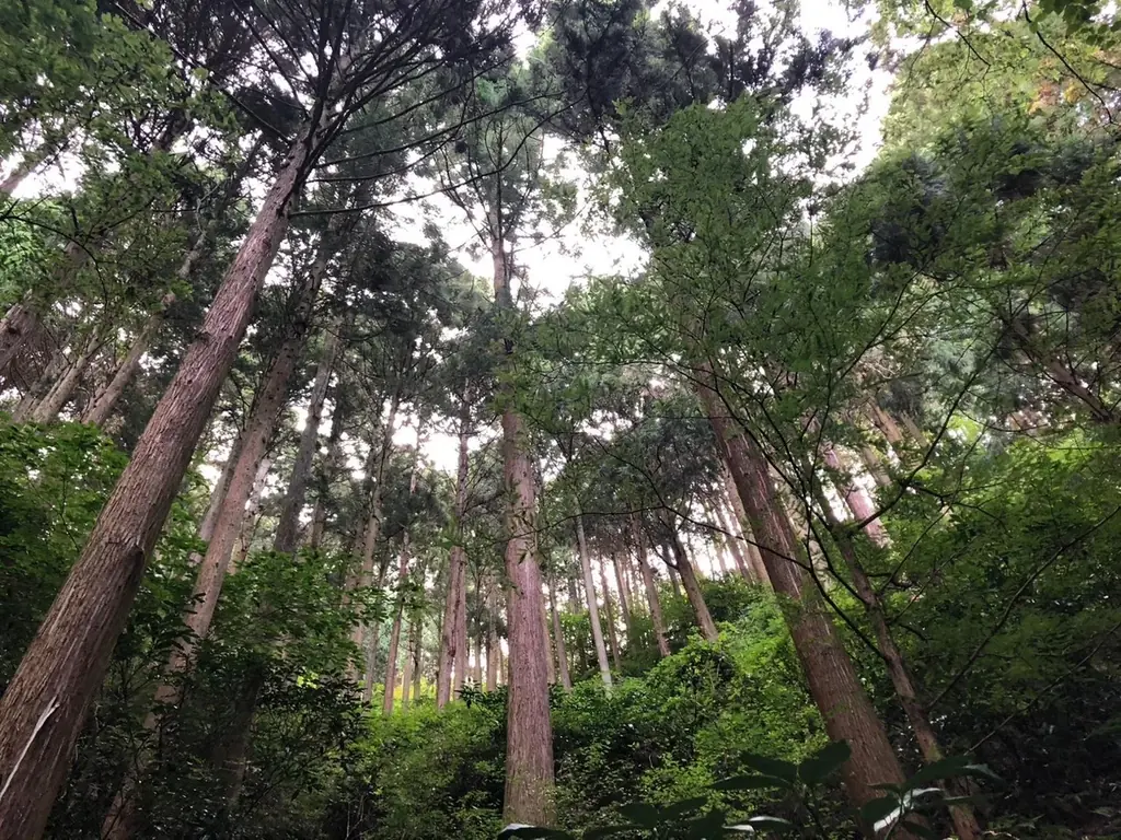 万博公式キャラクターに新デザイン登場！「黒ミャクミャク木製バッチ」発売。完売していたミャクミャク木製バッチも再販。 画像 6