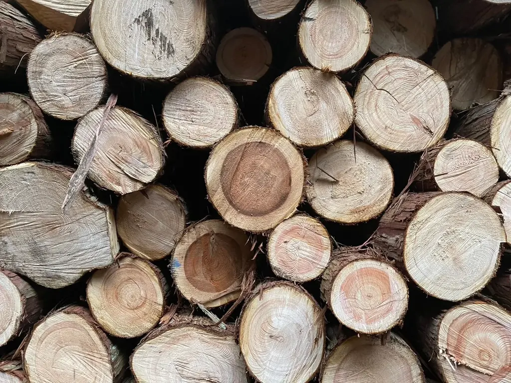 万博公式キャラクターに新デザイン登場！「黒ミャクミャク木製バッチ」発売。完売していたミャクミャク木製バッチも再販。 画像 7