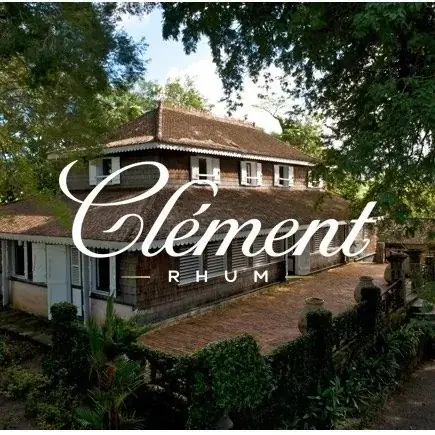 『風のマジム』原作小説で話題のフレンチラム「クレマン ブラン」再入荷 画像 4