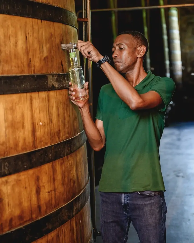 『風のマジム』原作小説で話題のフレンチラム「クレマン ブラン」再入荷 画像 5