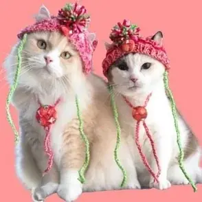 関西最大級の猫グッズイベント「にゃんこ博覧会２０２６」　　　　　　　　　　　　５月２日（土）・３日（日）グランフロント大阪で開催！ 画像 11