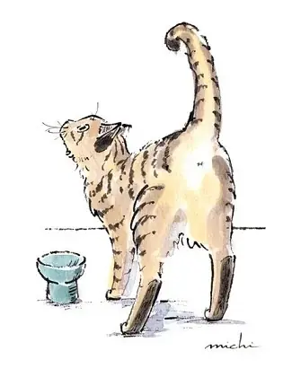 関西最大級の猫グッズイベント「にゃんこ博覧会２０２６」　　　　　　　　　　　　５月２日（土）・３日（日）グランフロント大阪で開催！ 画像 7