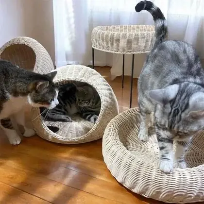 関西最大級の猫グッズイベント「にゃんこ博覧会２０２６」　　　　　　　　　　　　５月２日（土）・３日（日）グランフロント大阪で開催！ 画像 9