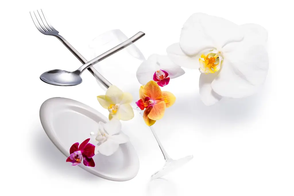 食べられる胡蝶蘭（エディブルオーキッド）の販売を開始。 画像 1