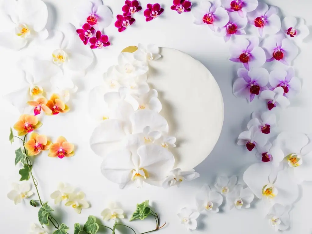 食べられる胡蝶蘭（エディブルオーキッド）の販売を開始。 画像 2