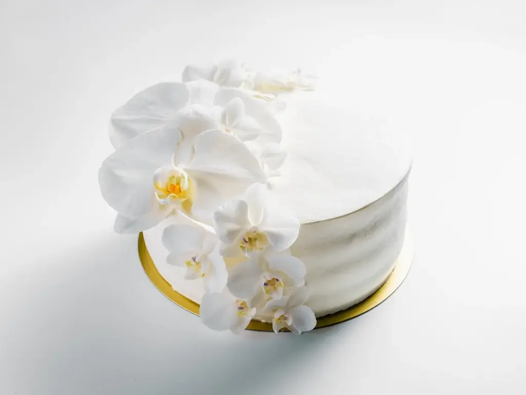 食べられる胡蝶蘭（エディブルオーキッド）の販売を開始。 画像 3