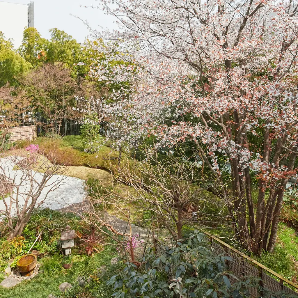 【レンブラントホテル海老名】花を愛で美食を楽しむ「桜フェア」開催中。日本庭園や店内の桜を眺めてお花見気分を満喫。 画像 8